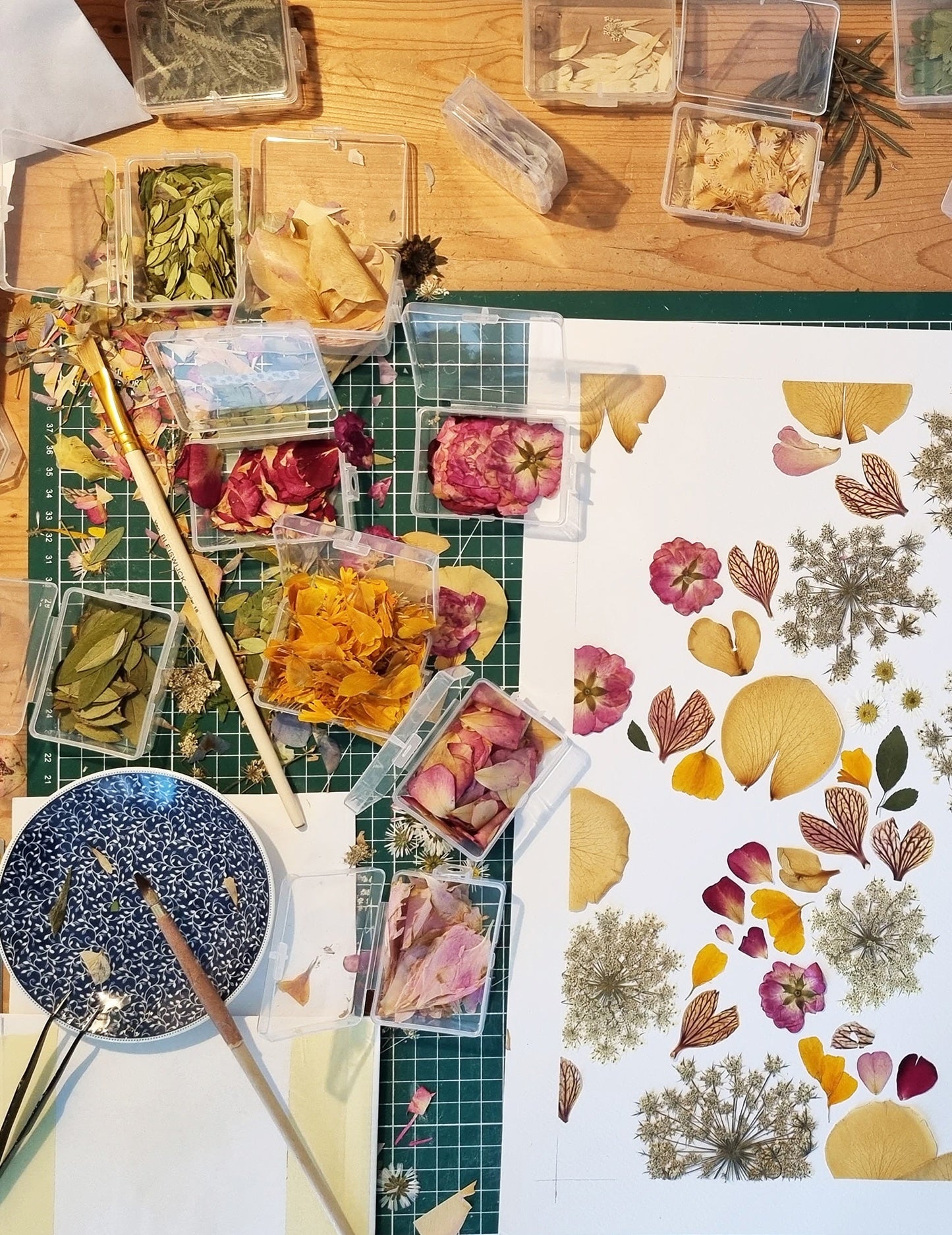 Atelier du mercredi 5 novembre