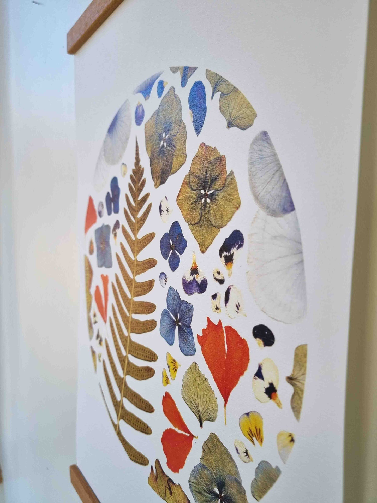 La protection de la fougère