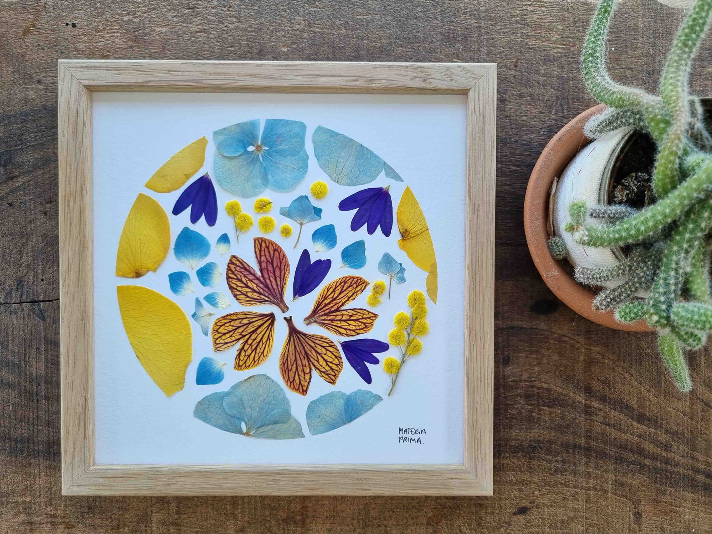 une pointe de mimosa