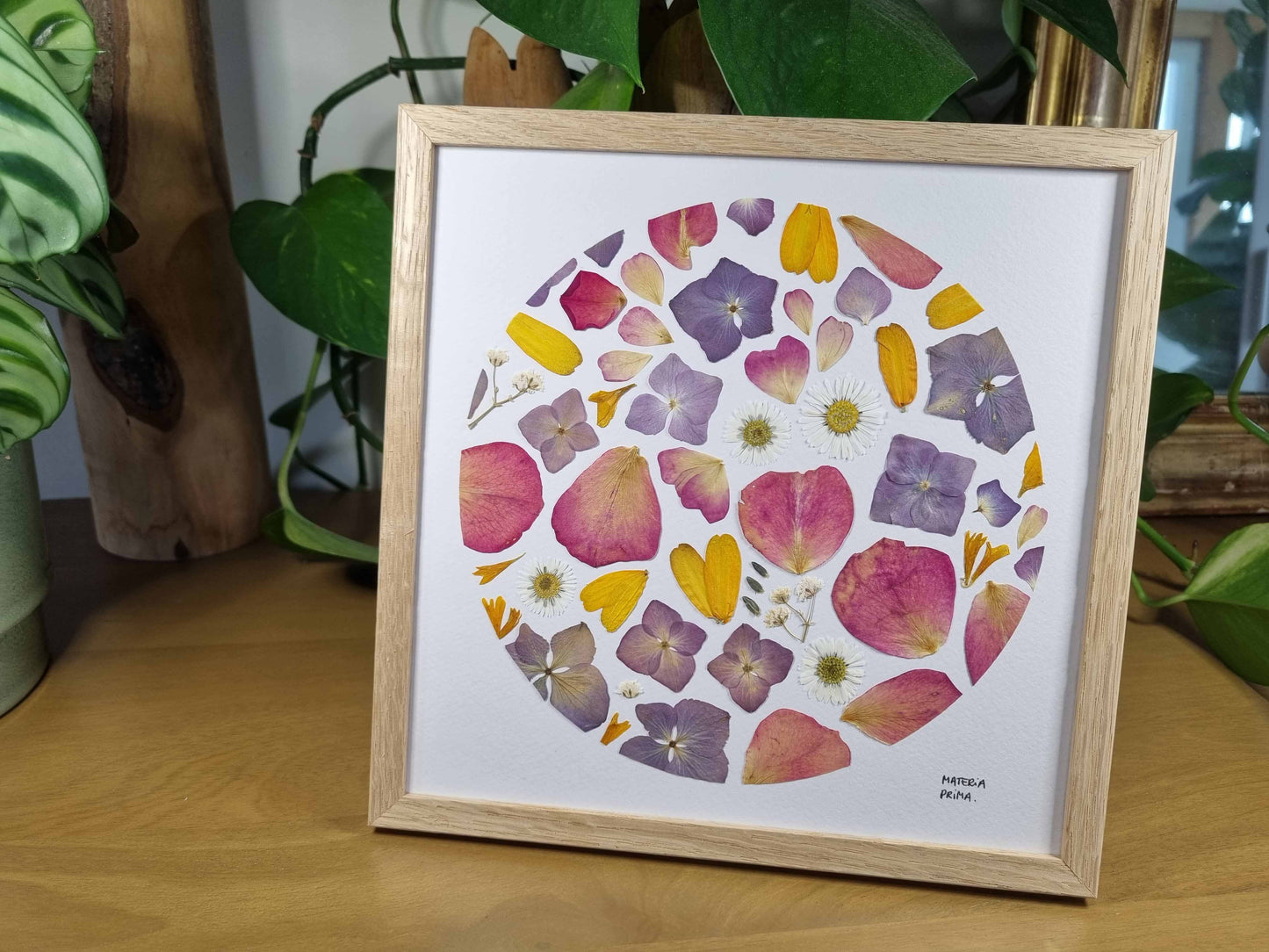 hortensias violets et roses-roses