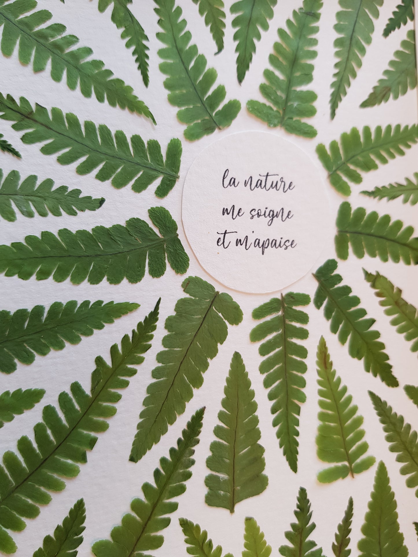 La nature me soigne et m'apaise