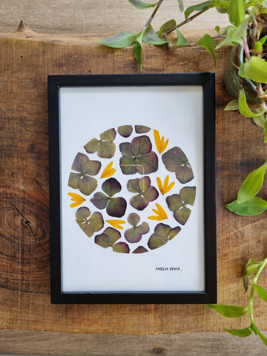 l'ombre et la lumière (bis)