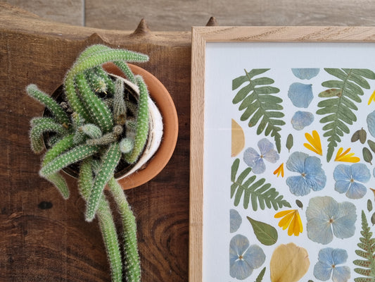 La fougère et l'hortensia bleu