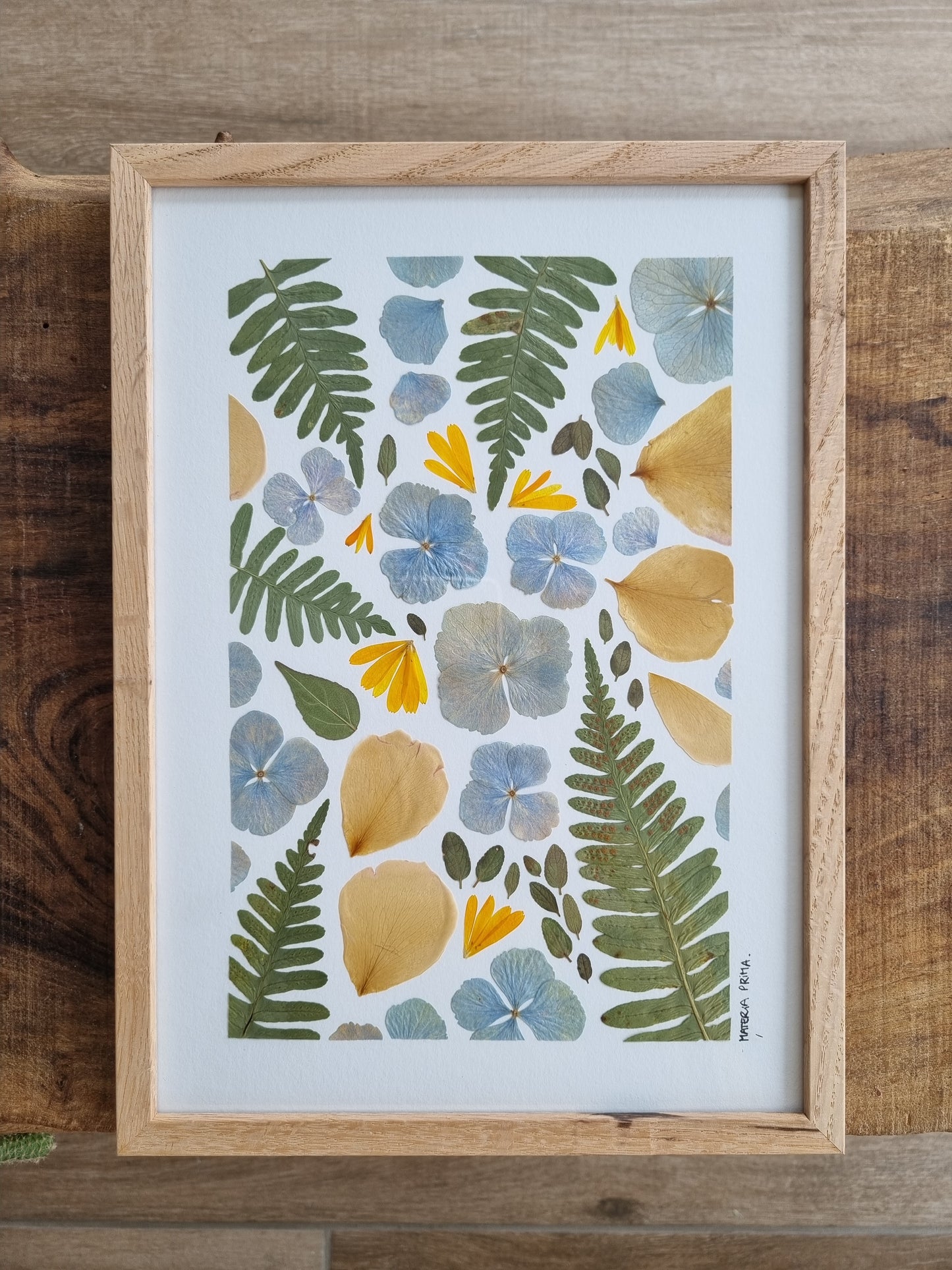 La fougère et l'hortensia bleu