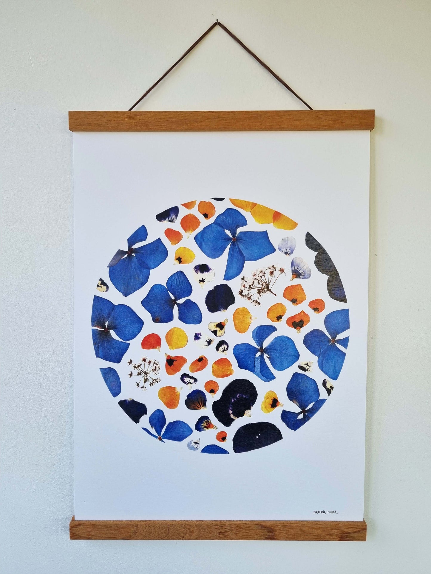 Le bleu profond des hortensias