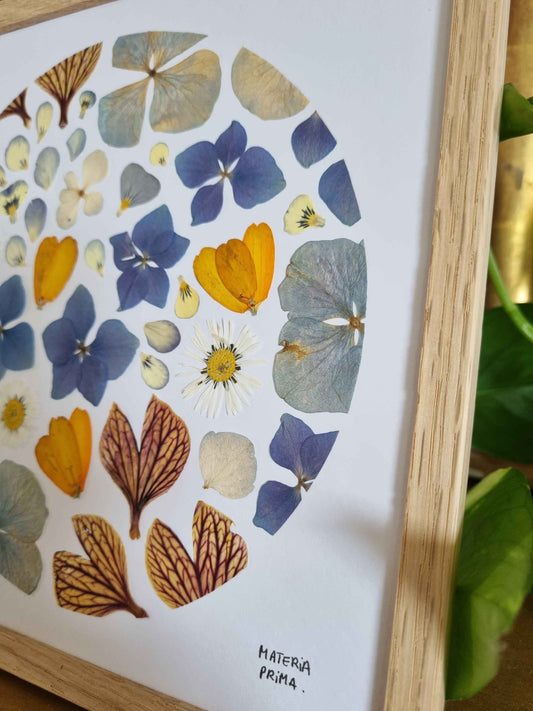 comme un air de papillon