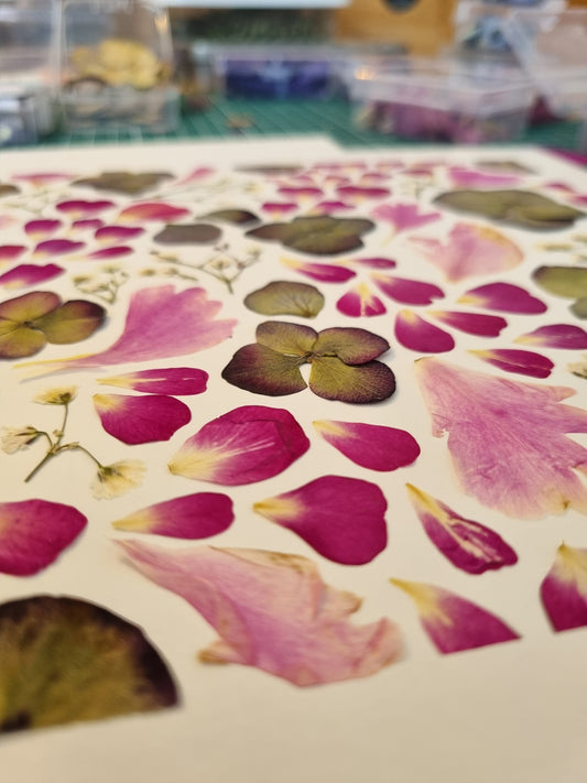 Atelier du jeudi 20 novembre