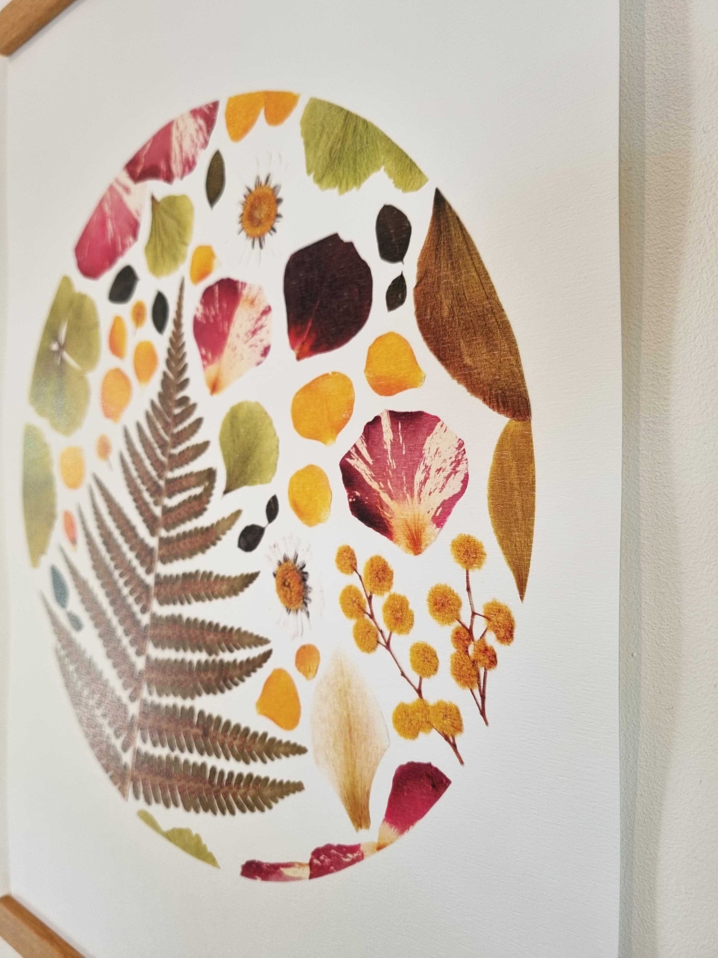 Des spores par dizaines