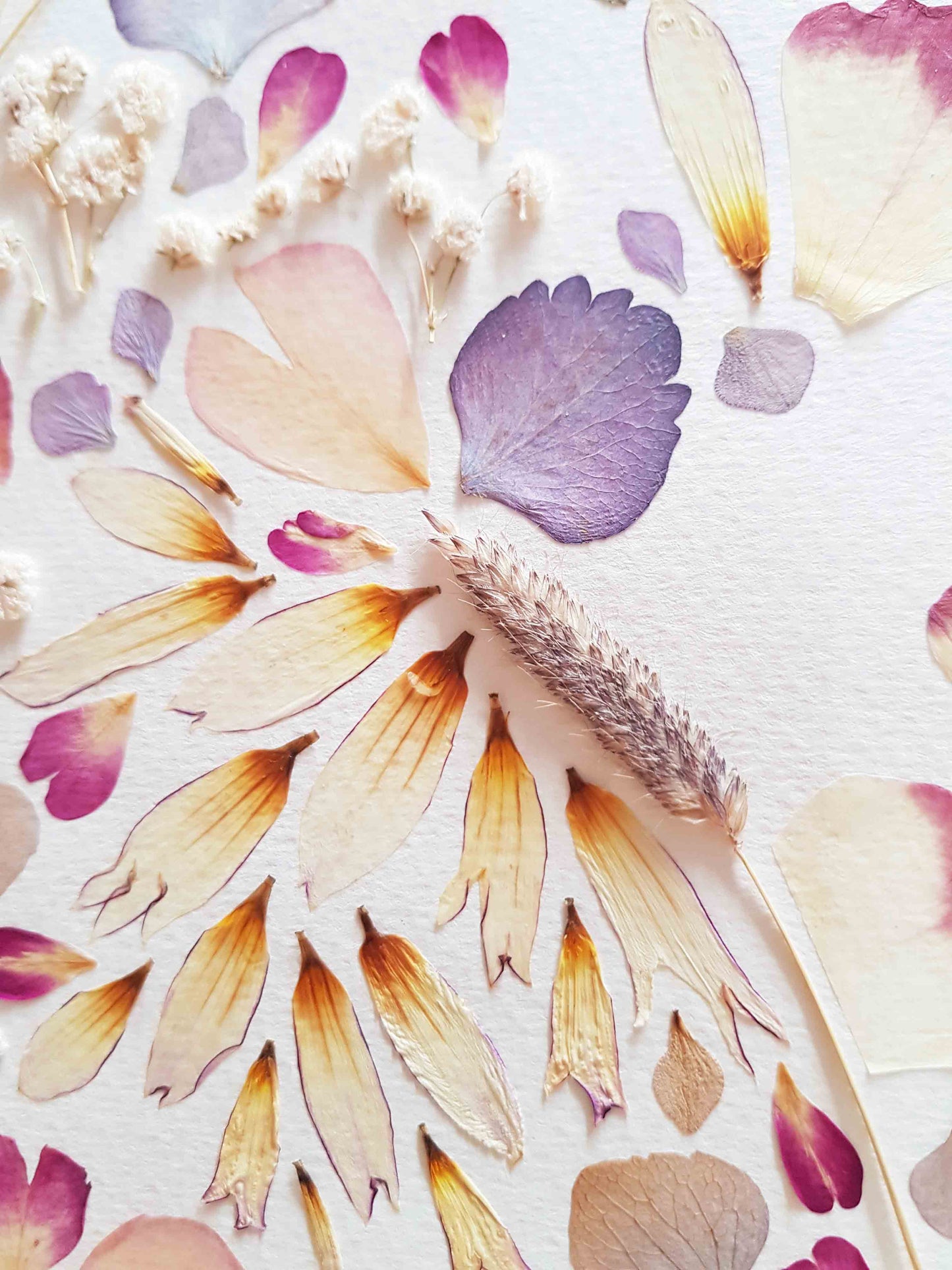 Cadre fleuri - couleurs pastels