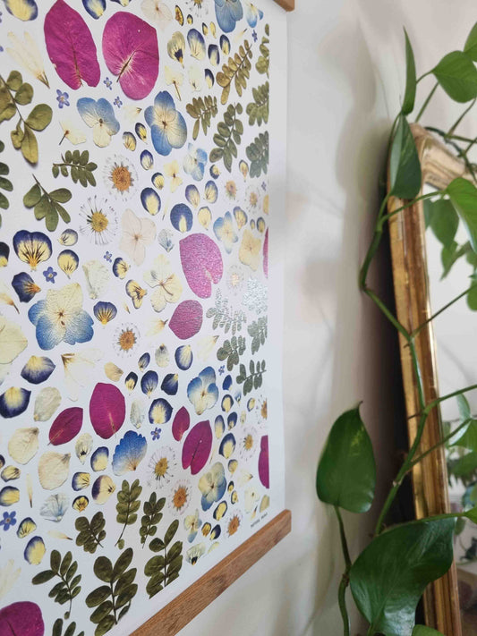 Les bougainvilliers et compagnie