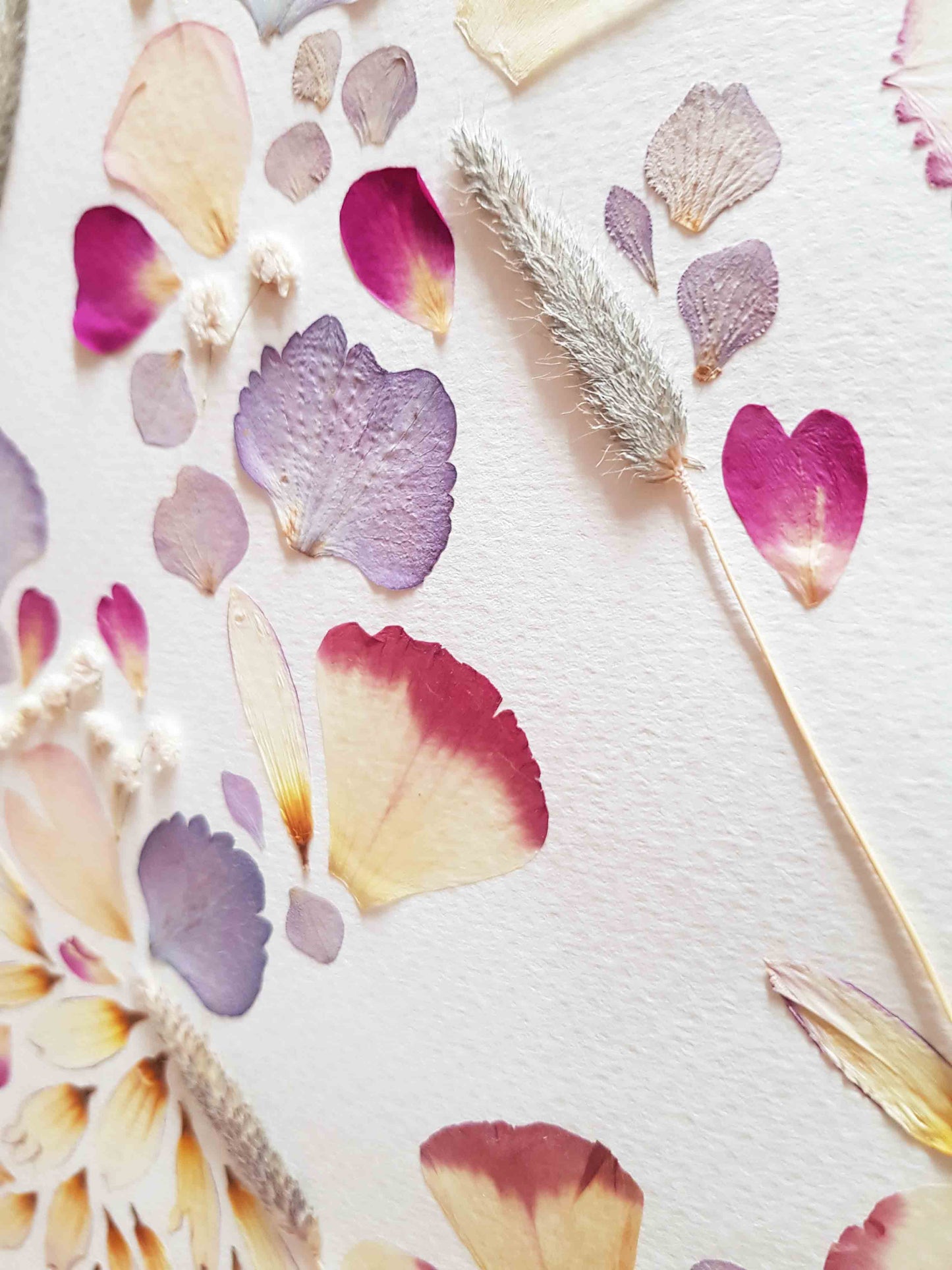 Cadre fleuri - couleurs pastels
