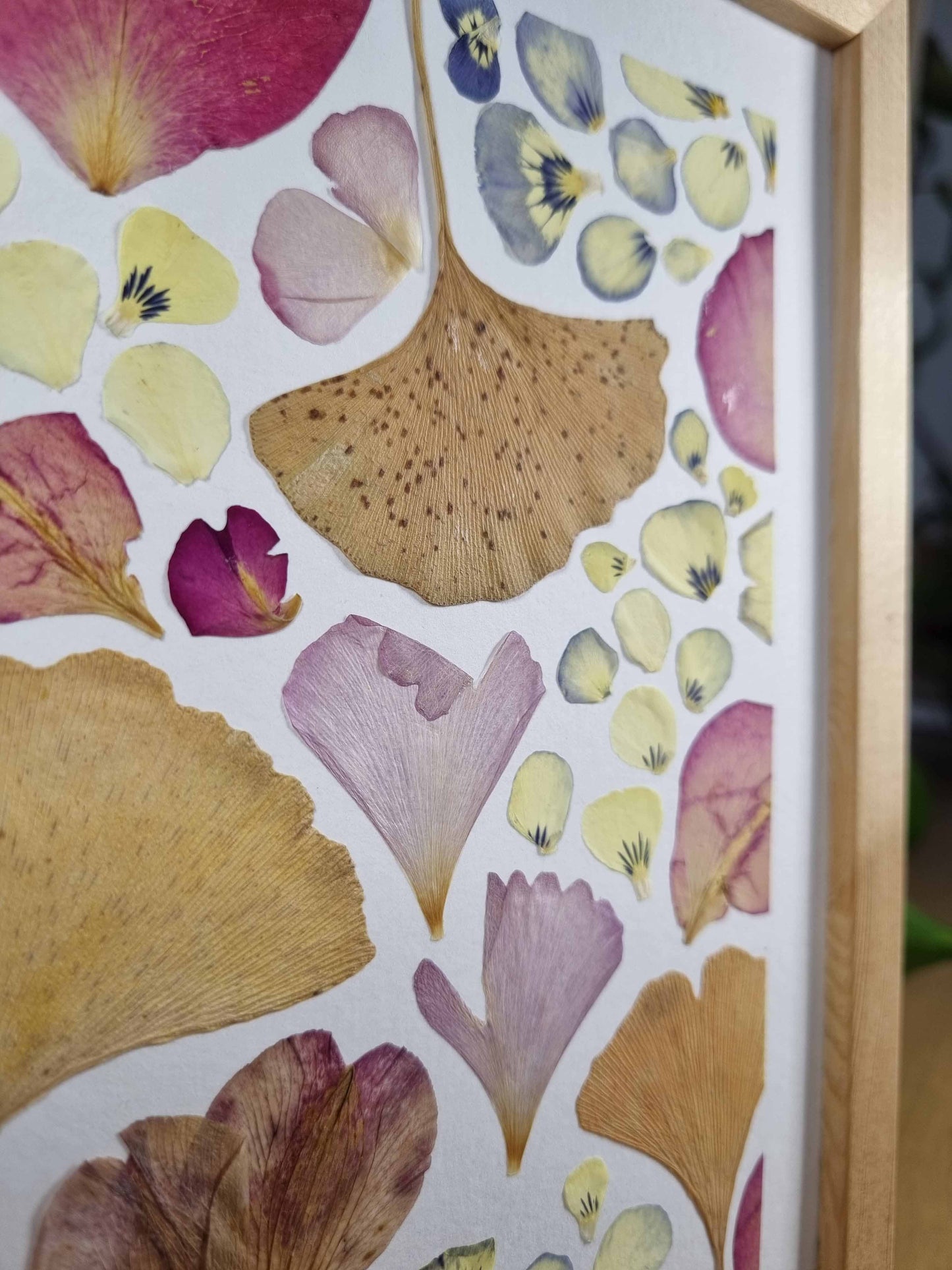 Du Ginkgo et du rose