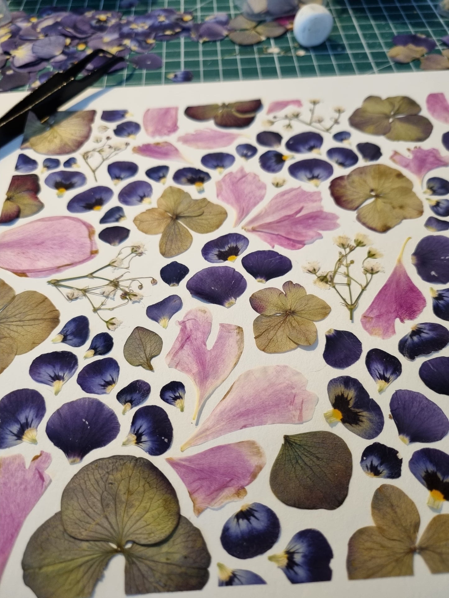 Atelier du mercredi 5 novembre