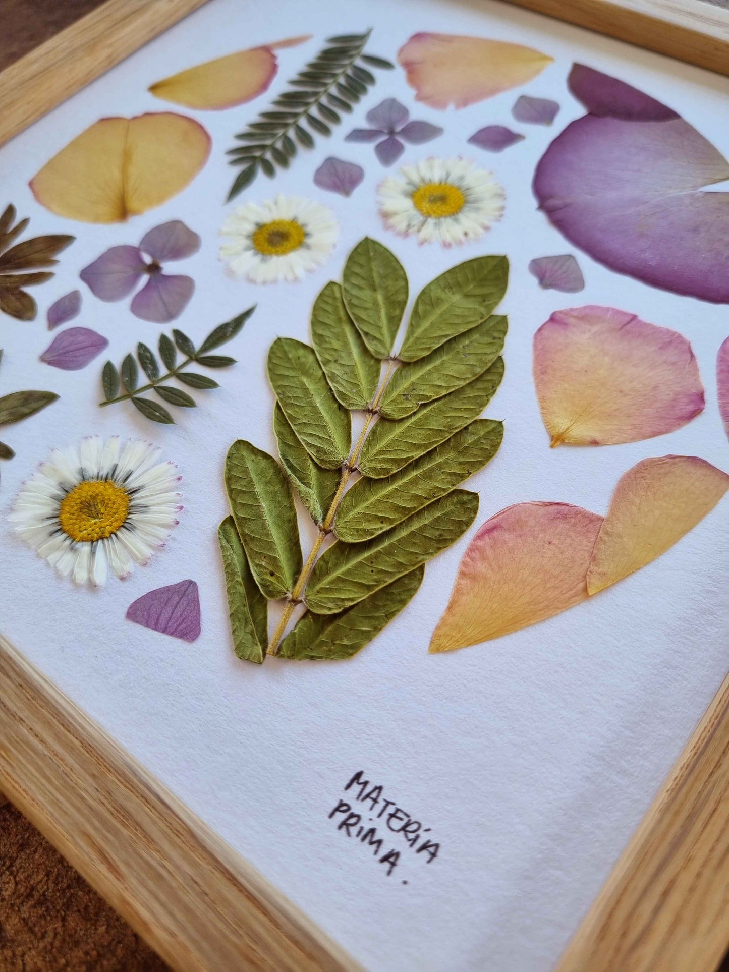 nature nature
