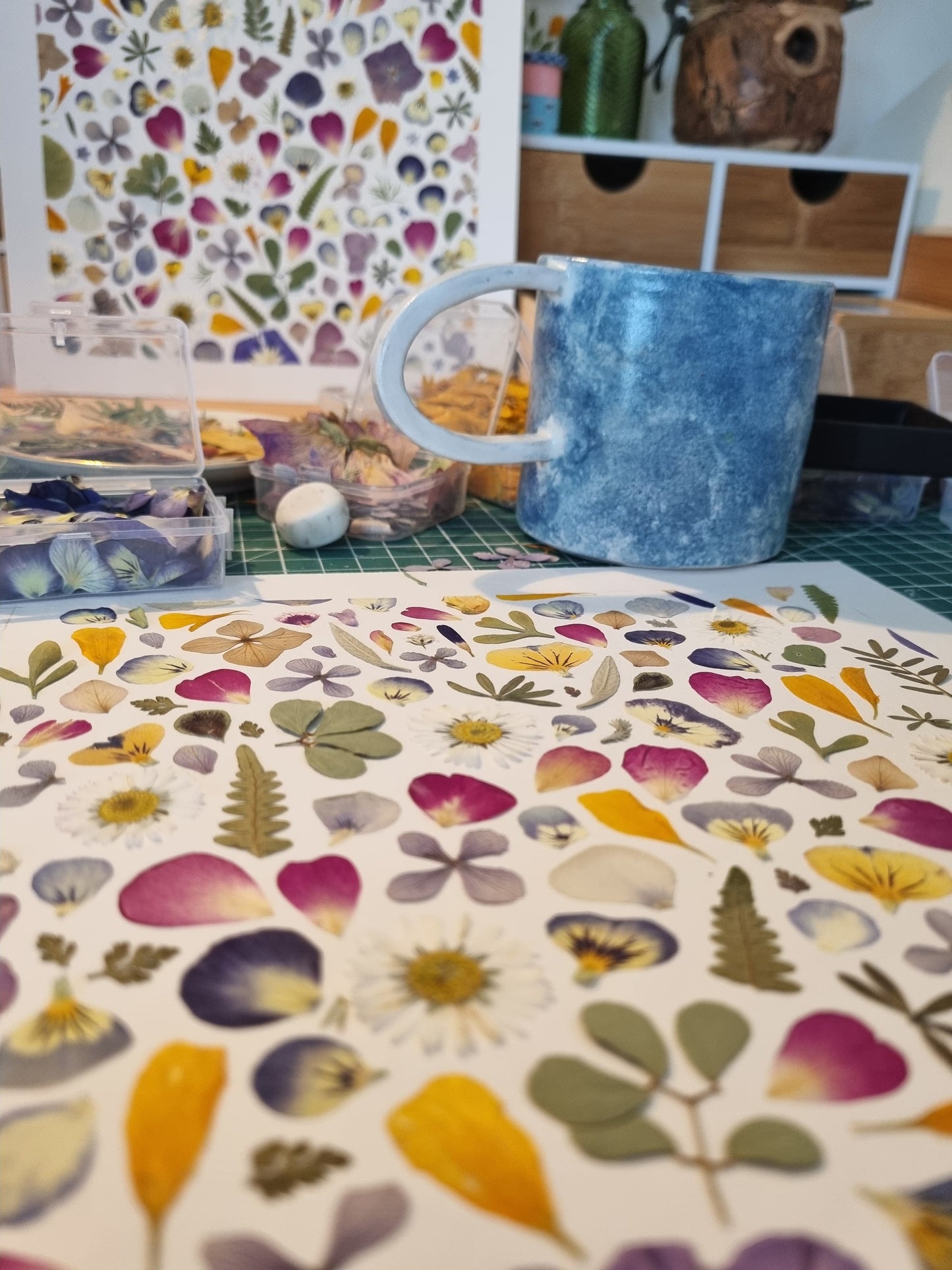 Atelier du mercredi 5 novembre