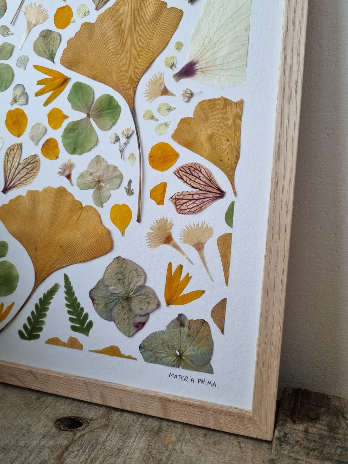 Ginkgo et compagnie