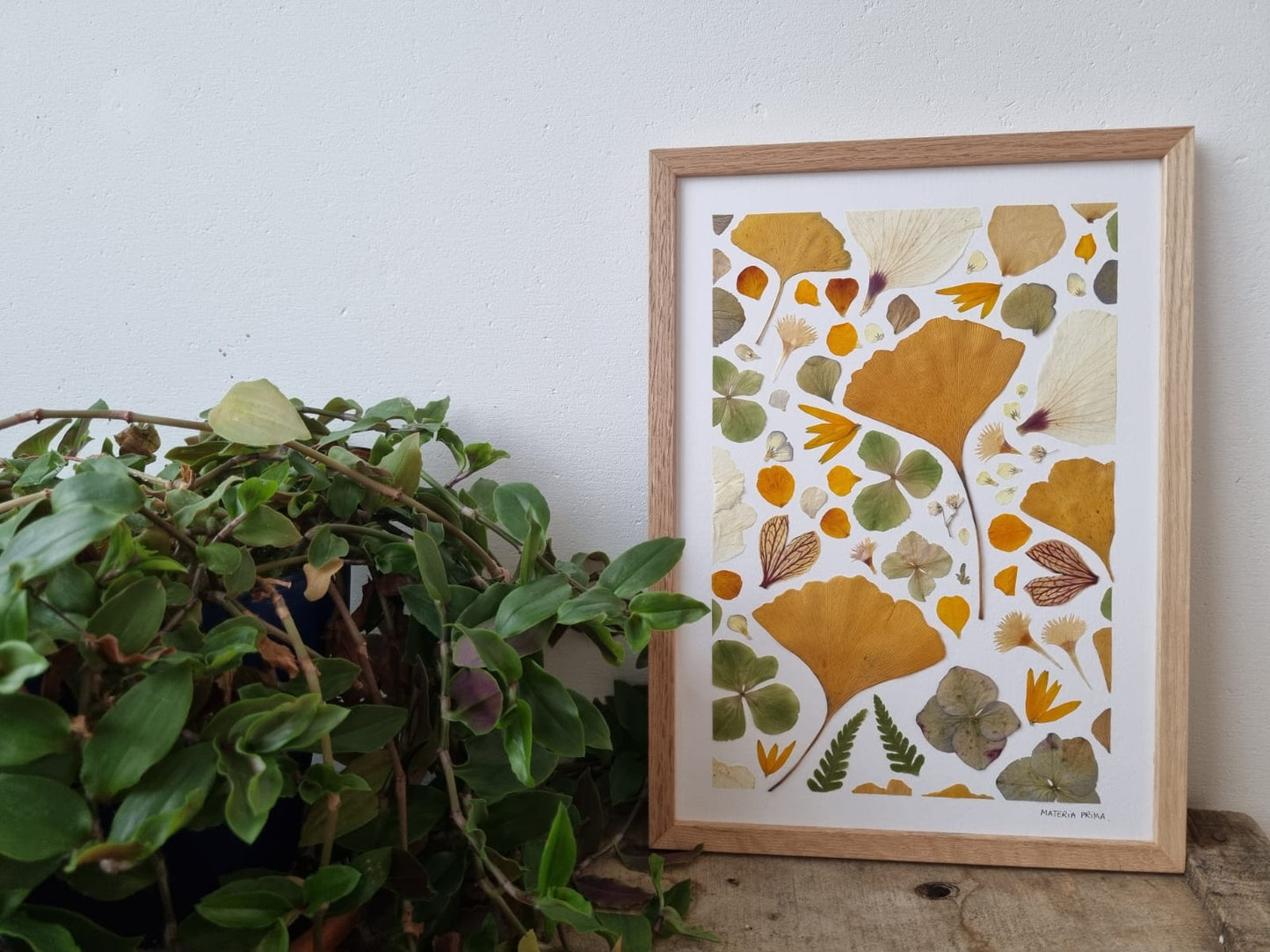 Ginkgo et compagnie