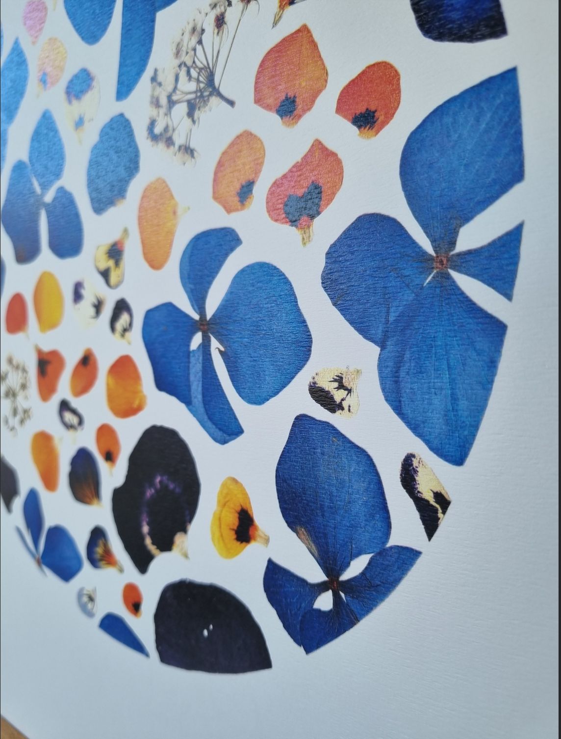 Reproductions imprimées