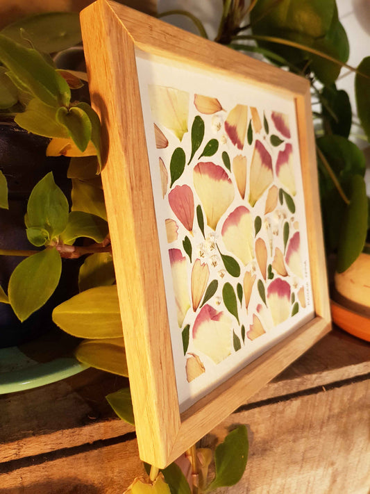 Les renoncules de l'Automne