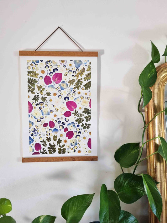 Les bougainvilliers et compagnie