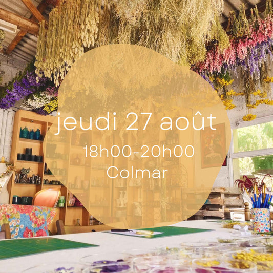Atelier du jeudi 27 août