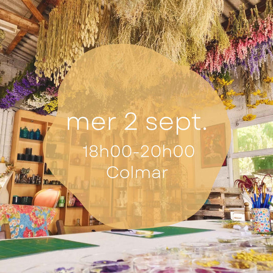 Atelier du mercredi 2 septembre