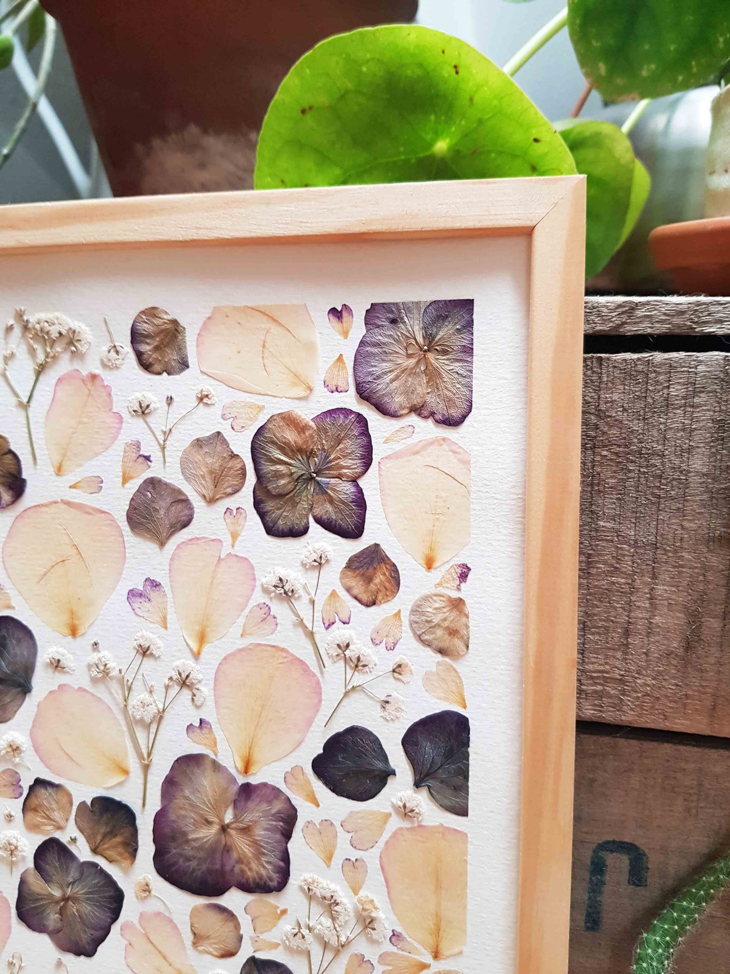 Cadre fleuri - En compagnie des hortensia violets