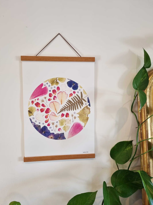 Le rose de la pivoine