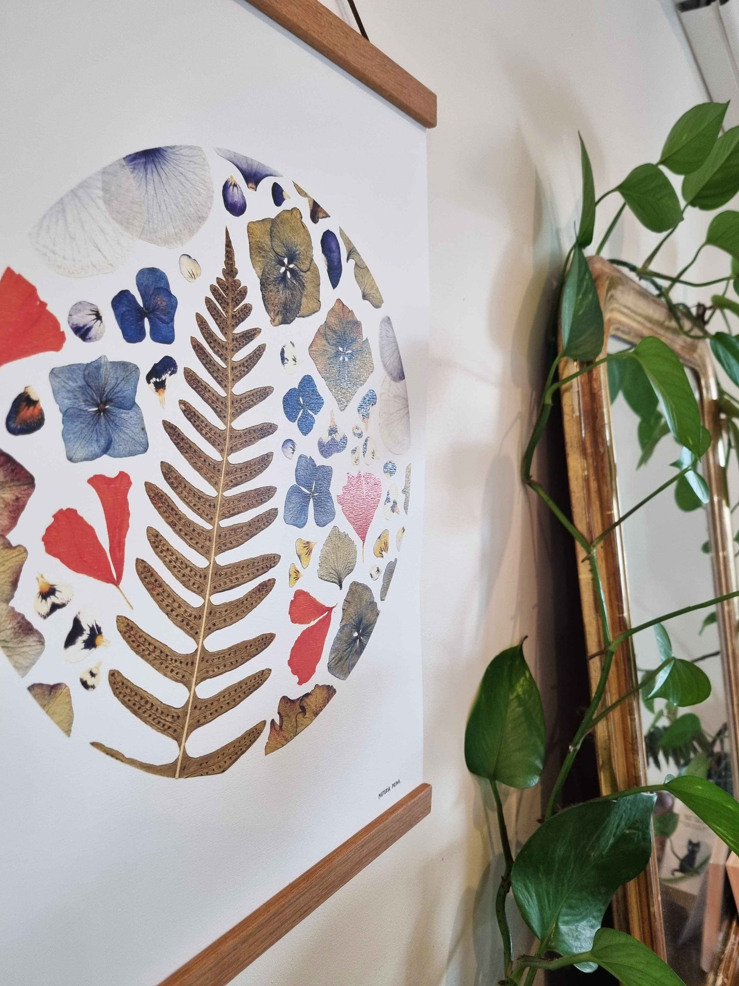 La protection de la fougère