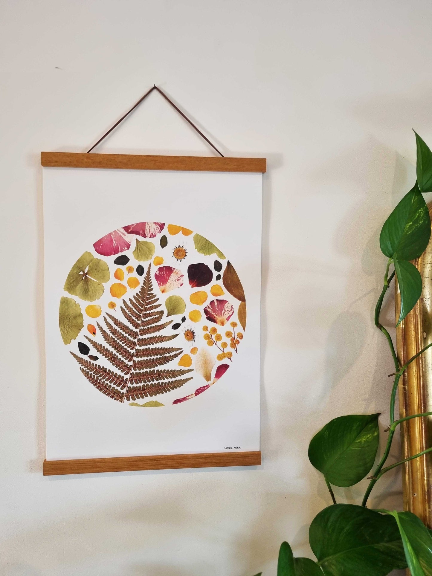 Des spores par dizaines