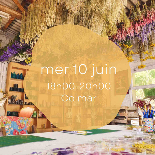 Atelier du mercredi 10 juin