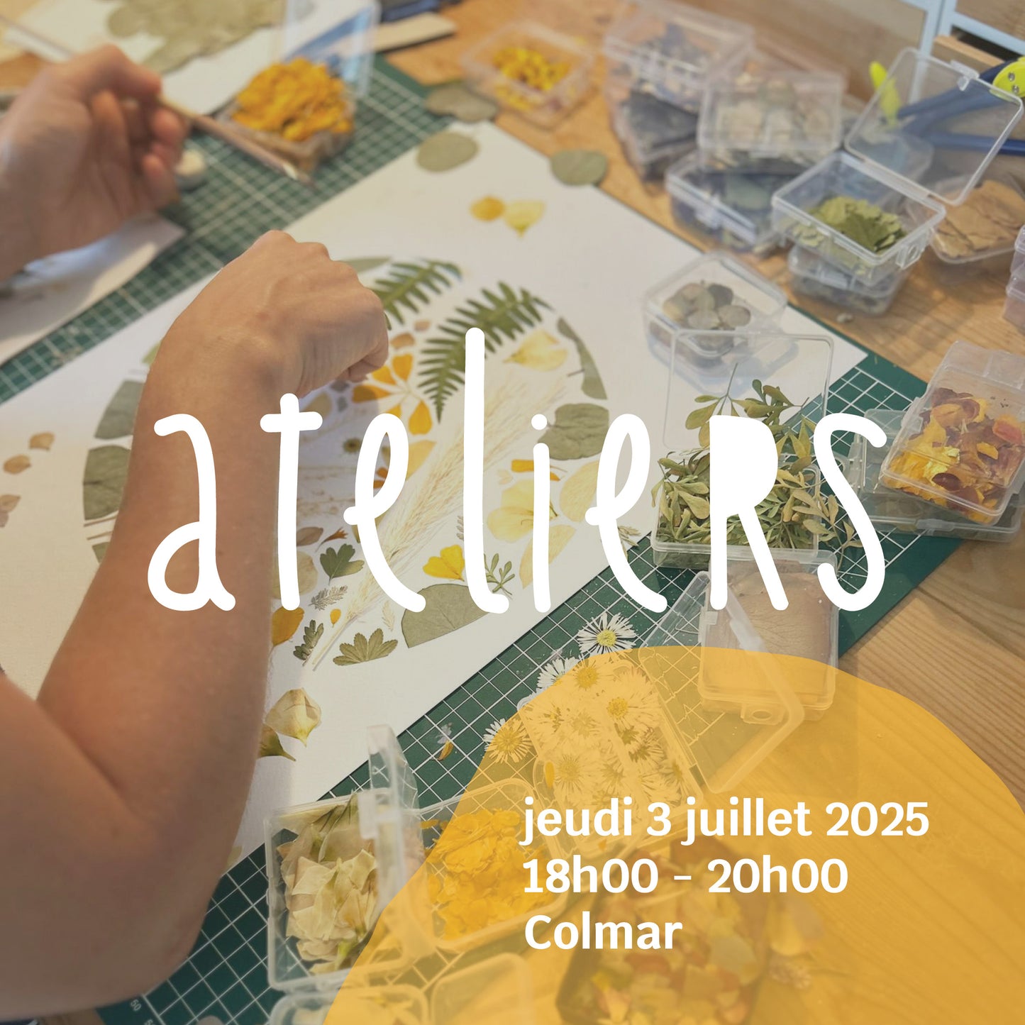 Atelier du 3 juillet 2025